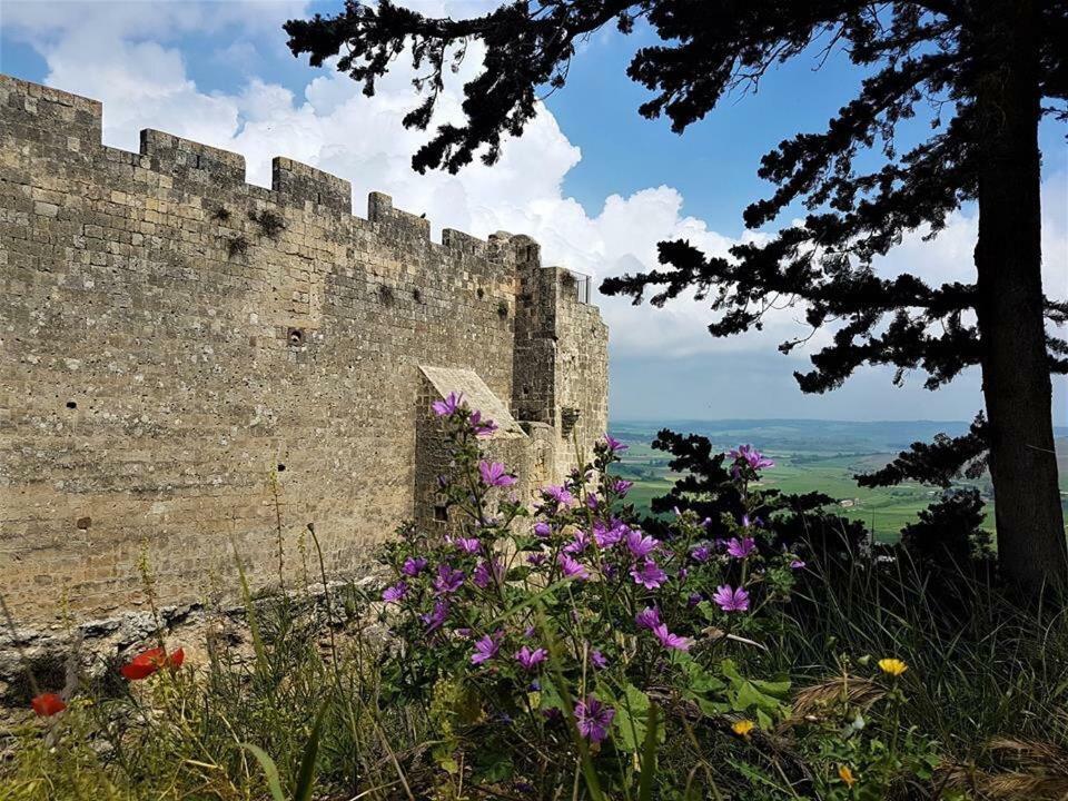 Casetta Di San Martino Tarquinia Εξωτερικό φωτογραφία